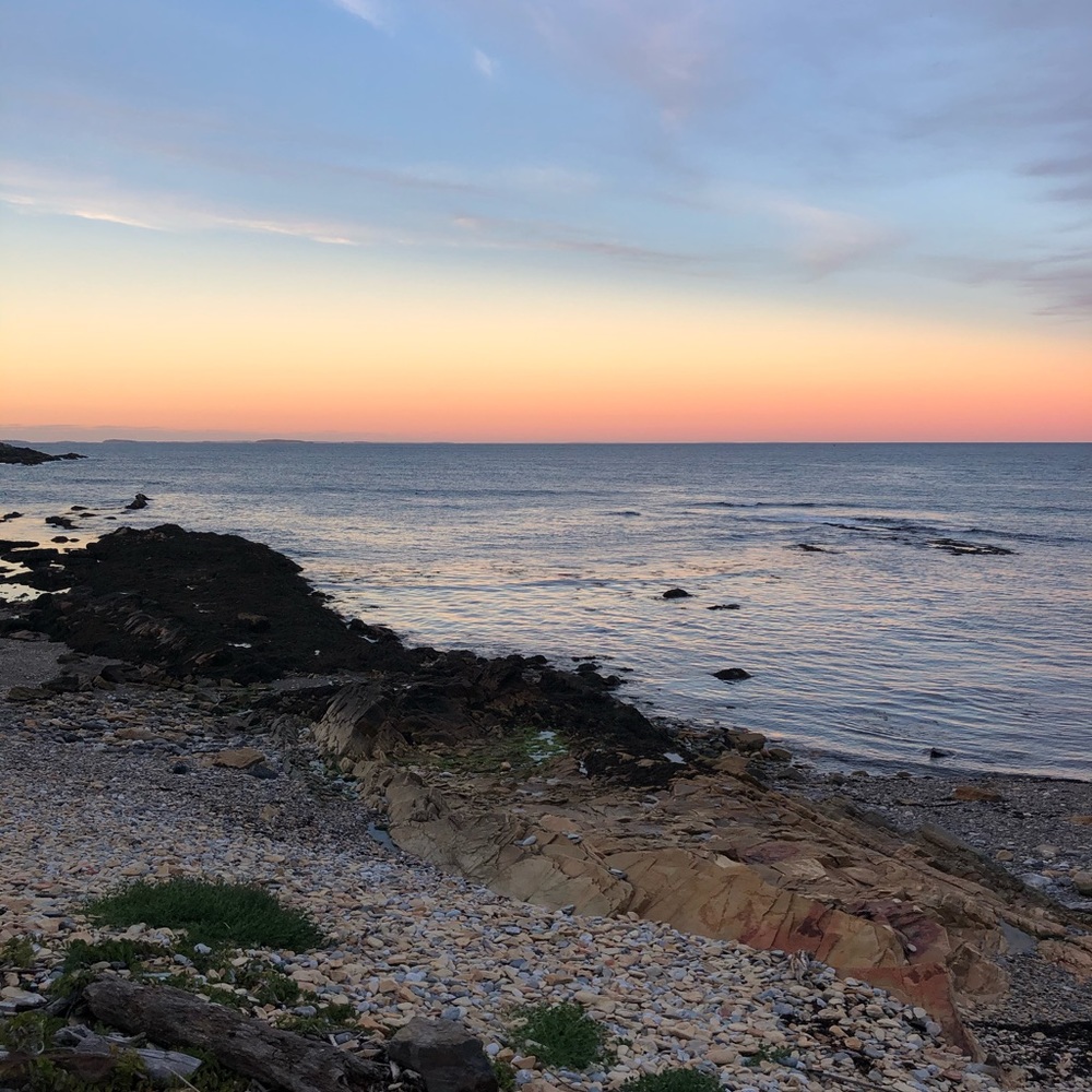 Meet your Posher, Dara